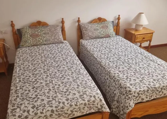 Flor De Tajinaste 2 Puerto de la Cruz (Tenerife)