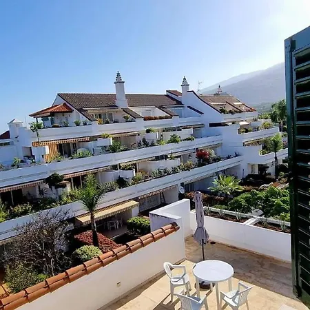 Flor De Tajinaste 2 拉克鲁斯