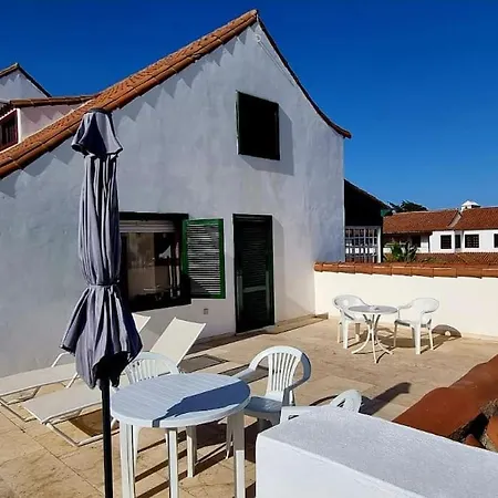 Flor De Tajinaste 2 *