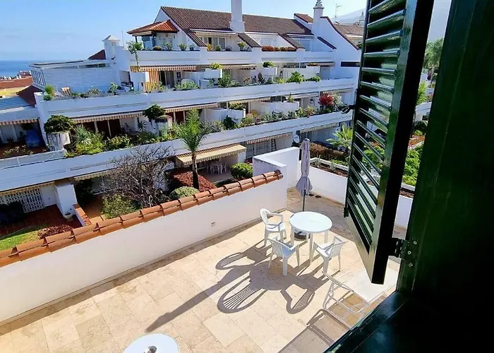 Flor De Tajinaste 2 Puerto de la Cruz